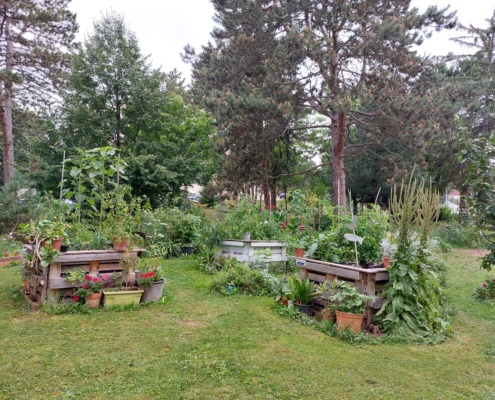 Klinik Hietzing - Therapiegarten