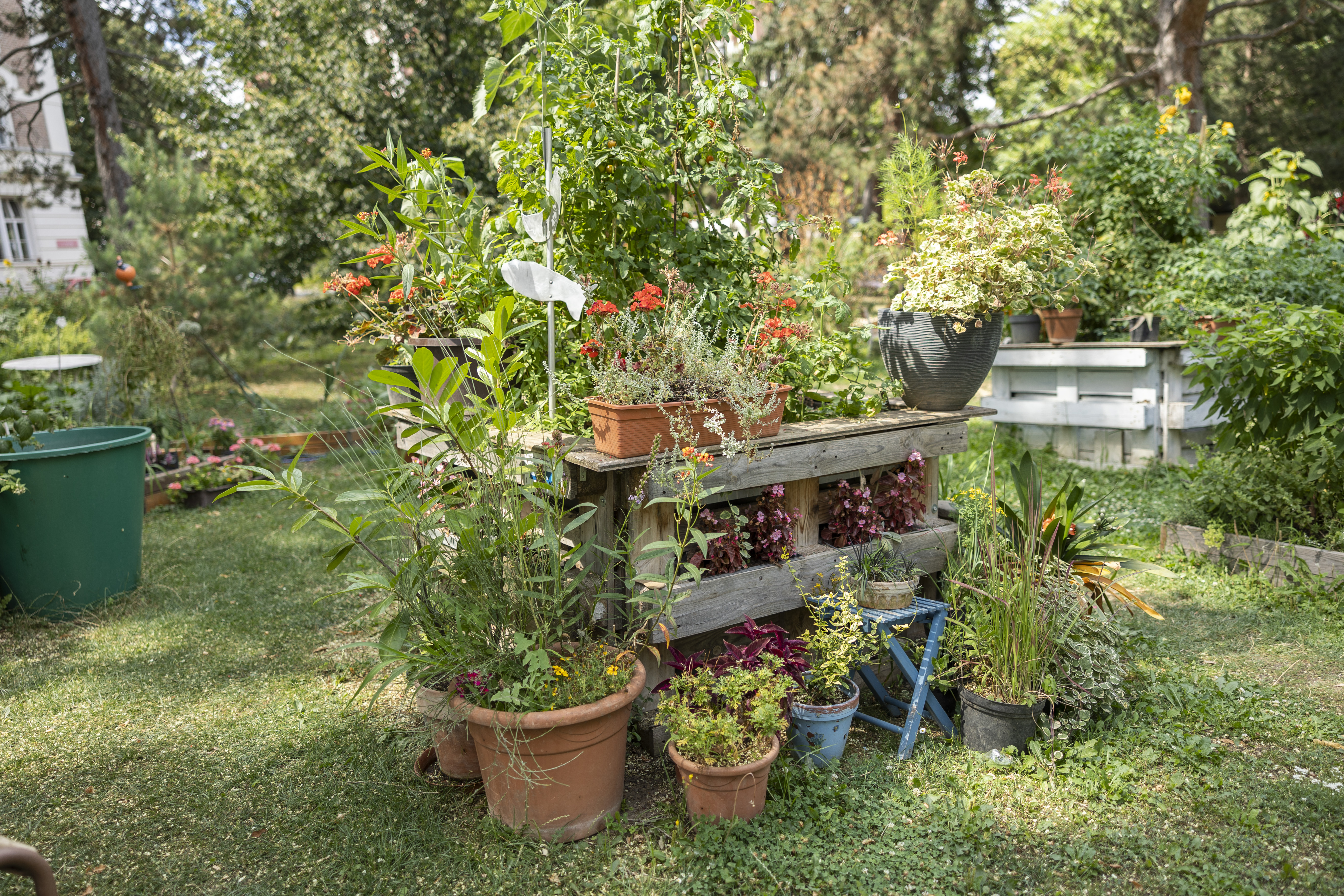Klinik Hietzing, Therapiegarten