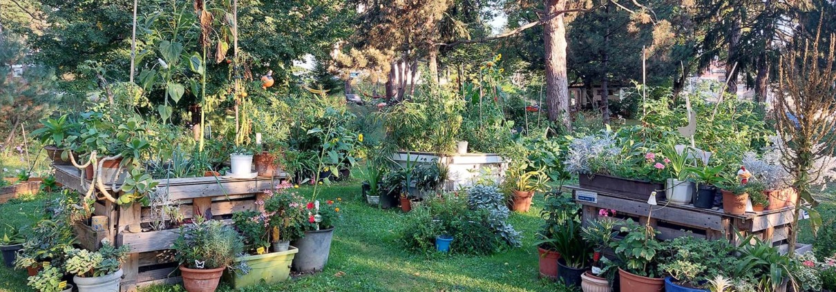 Therapiegarten der Klinik Hietzing