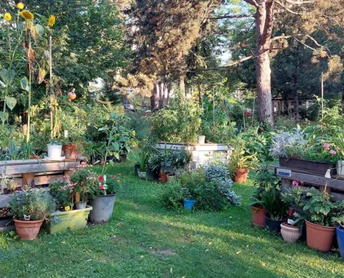 Therapiegarten der Klinik Hietzing
